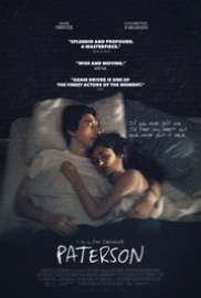 Paterson 2016
