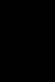 The Wall 2017