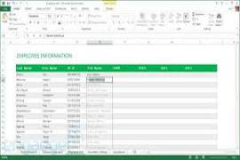 Microsoft Office 2013