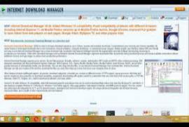 Internet Download Manager IDM 6