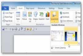 Microsoft OFFICE 2010
