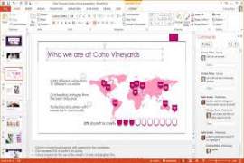 MS Office 2013